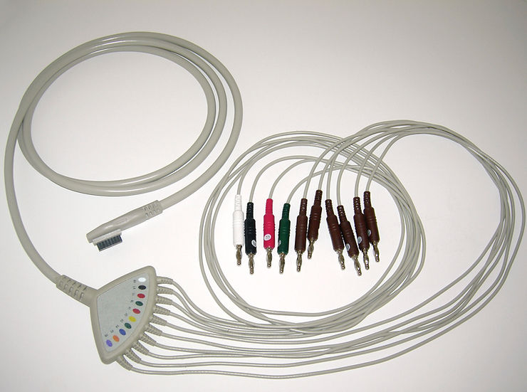 Shipping port for supply chain management and stability