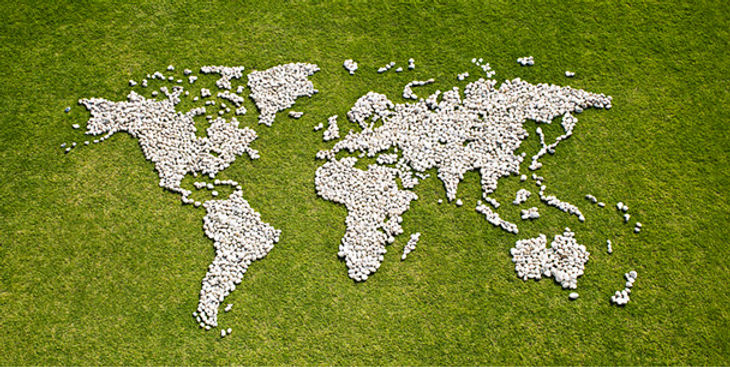 Shipping port for supply chain management and stability